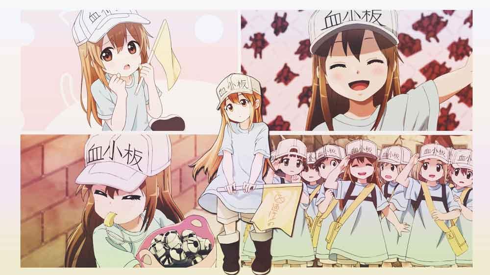 Hataraku Saibou BD Batch Subtitle Indonesia