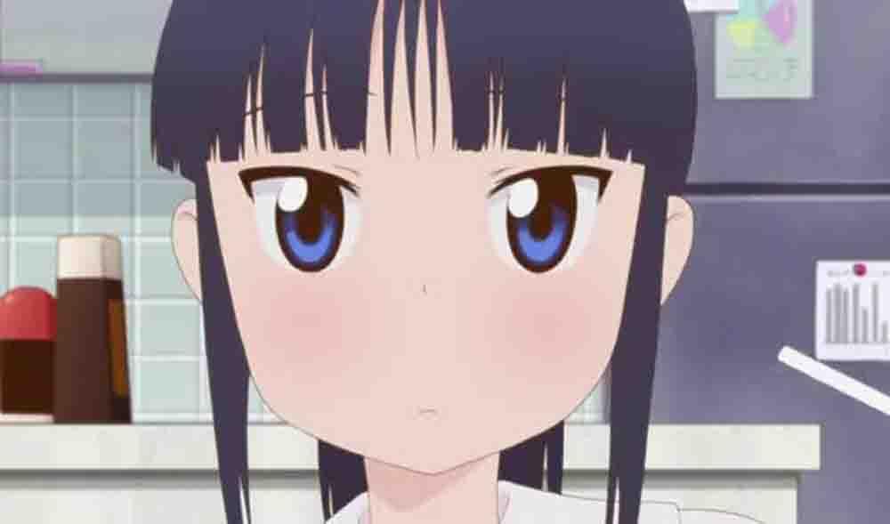 Yuri Seijin Naoko-san (2012) Subtitle Indonesia
