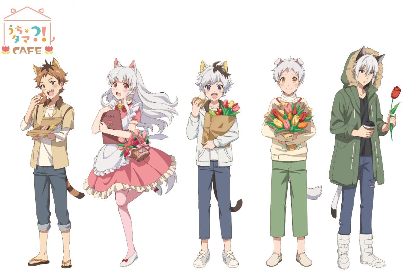 Uchi Tama?! Uchi no Tama Shirimasen ka? Batch Subtitle Indonesia