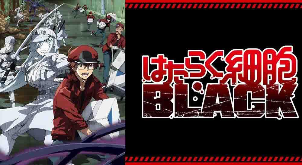 Hataraku Saibou Black (TV) BD Batch Subtitle Indonesia
