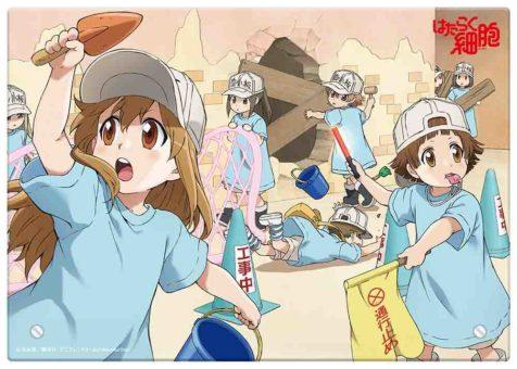 Hataraku Saibou!! Season 2 BD Batch Subtitle Indonesia
