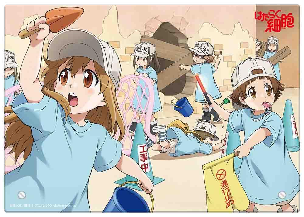 Hataraku Saibou!! Season 2 BD Batch Subtitle Indonesia