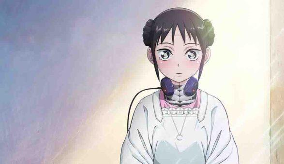 Boku no Tsuma wa Kanjou ga Nai Batch Subtitle Indonesia