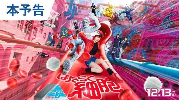 Hataraku Saibou Live Action (2024) BD Subtitle Indonesia
