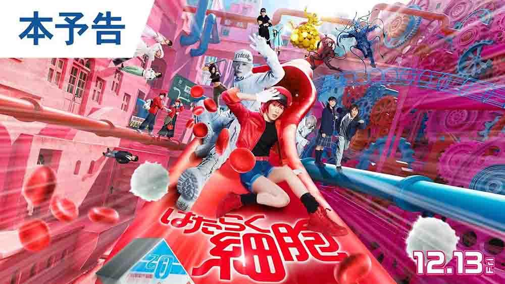 Hataraku Saibou Live Action (2024) BD Subtitle Indonesia