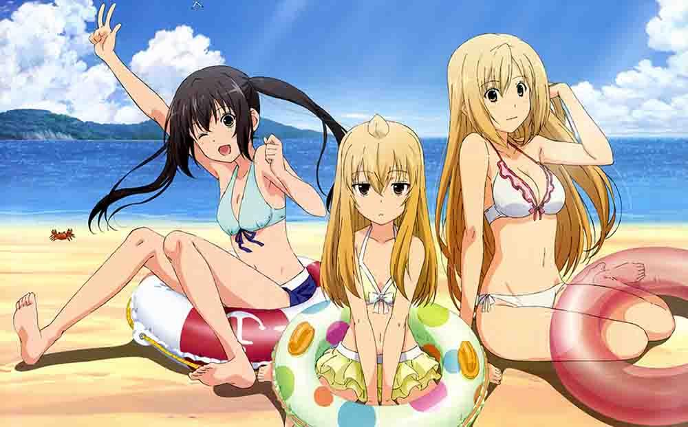 Minami-ke Okaeri BD Subtitle Indonesia