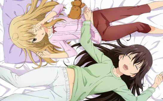 Minami-ke Okawari BD Subtitle Indonesia