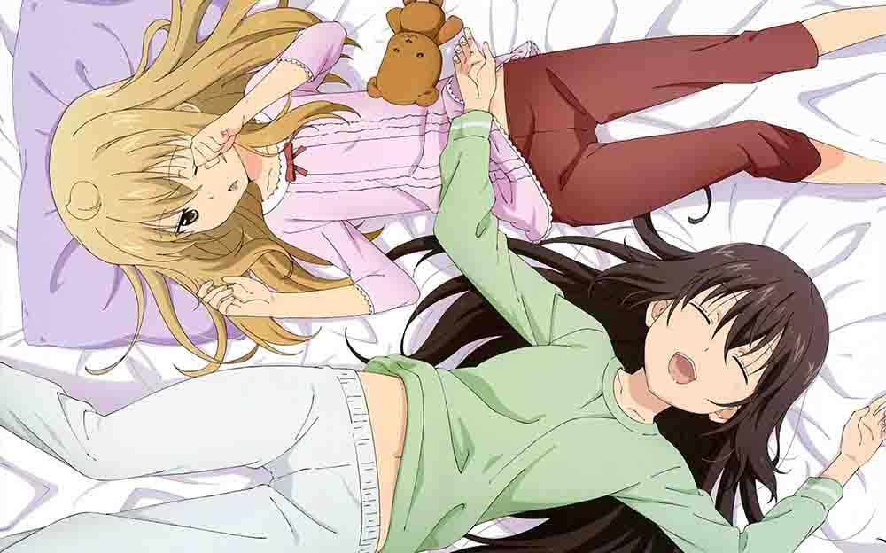 Minami-ke Okawari BD Subtitle Indonesia