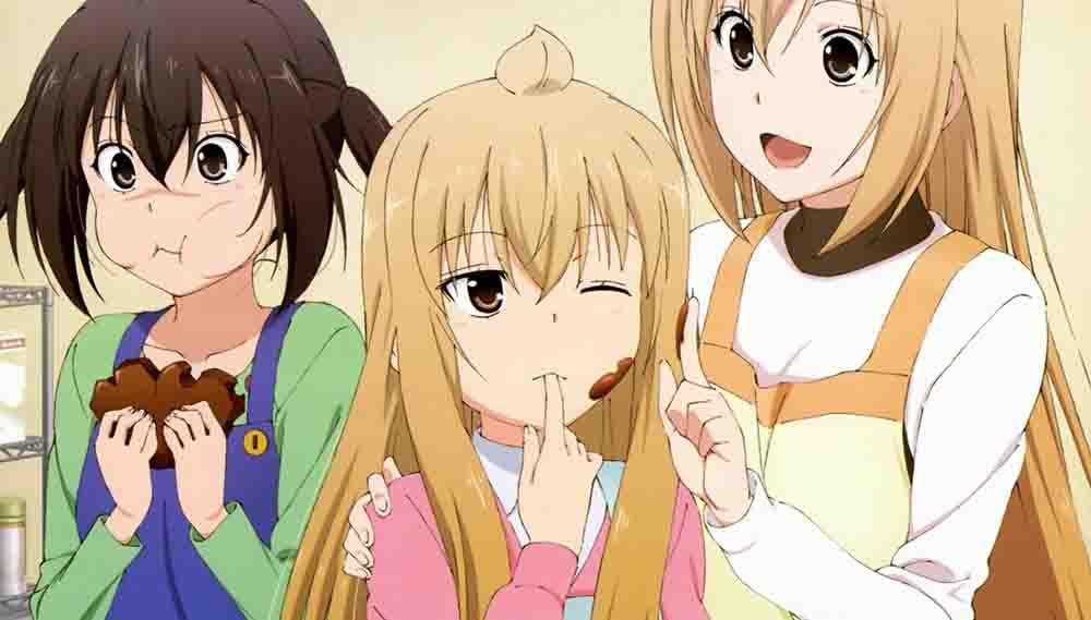 Minami-ke Tadaima BD Subtitle Indonesia