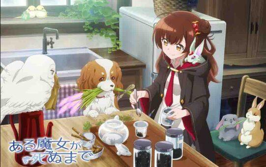 Aru Majo ga Shinu Made Batch Subtitle Indonesia