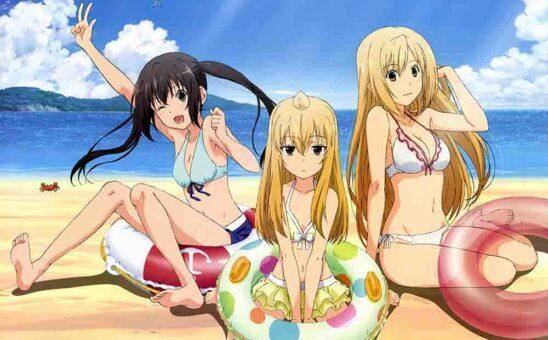 Minami-ke Okaeri BD Subtitle Indonesia